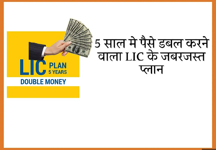 LIC 5 YEAR PLAN