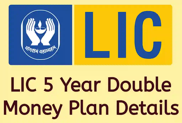 LIC 5 YEAR PLAN