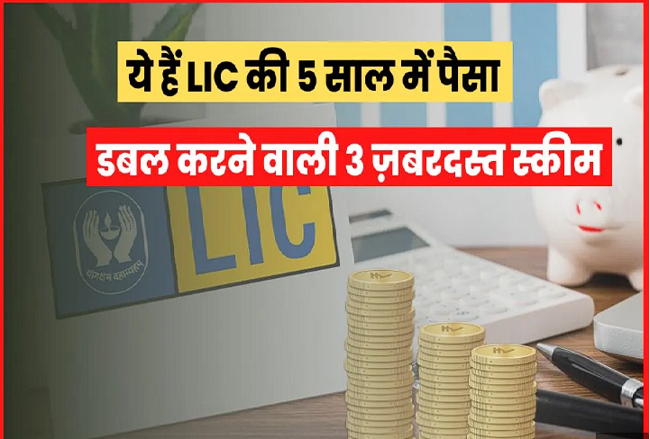 LIC 5 YEAR PLAN