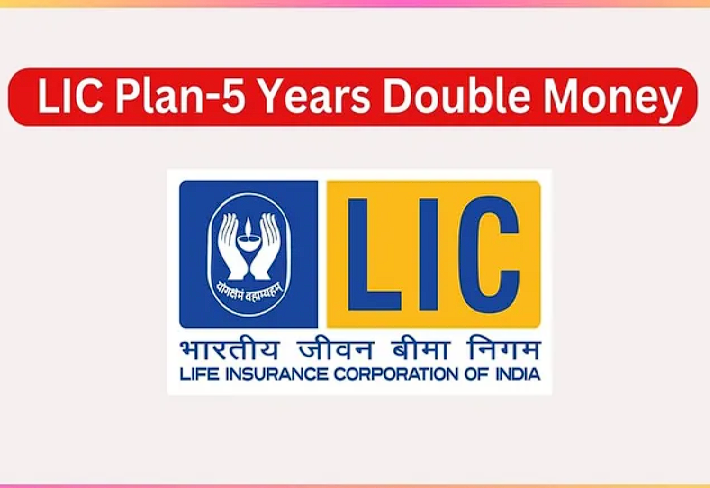 LIC 5 YEAR PLAN